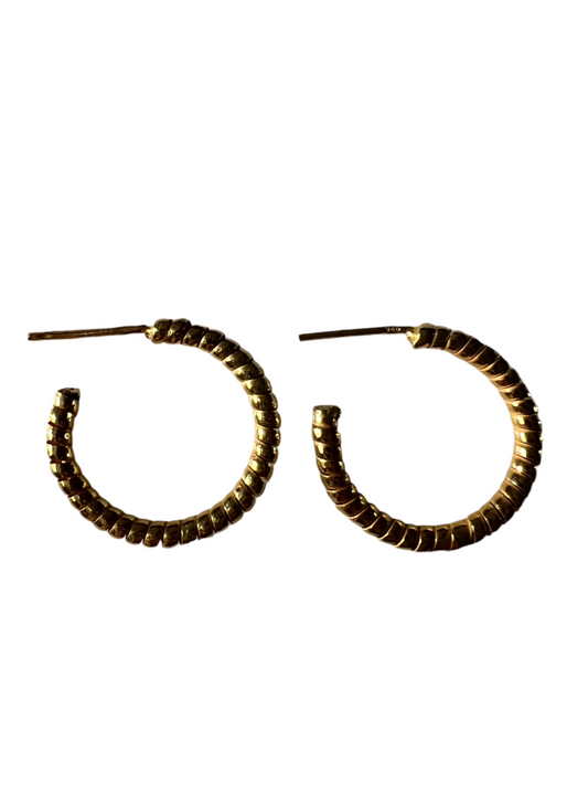 Aria Hoops